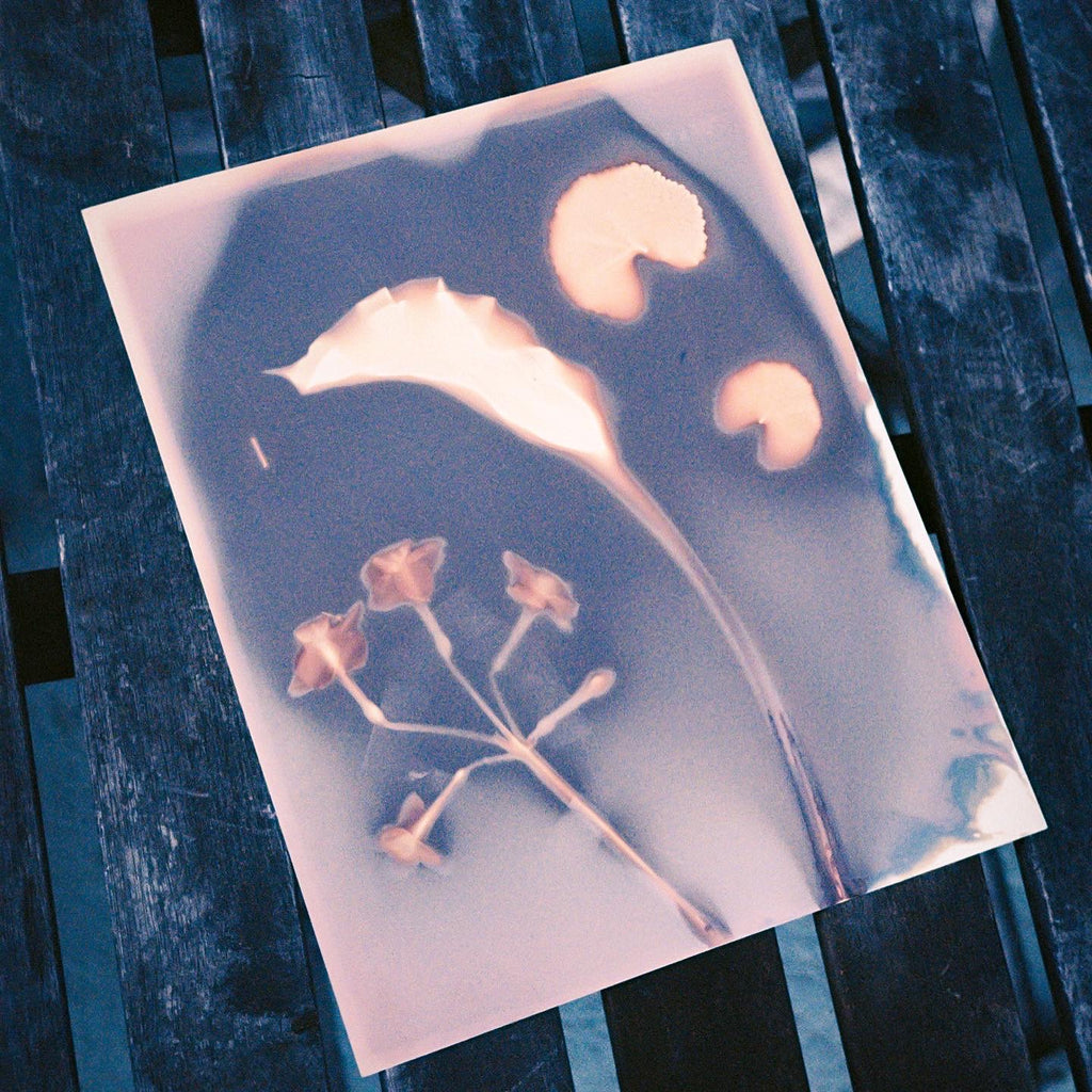 The image shows a cyanotype print featuring botanical elements, including a large curved leaf, smaller rounded leaves, and a delicate branching flower with multiple blossoms. The print has soft, muted tones of blue and sepia, creating a ghostly, ethereal effect. It is placed on a dark wooden surface, contrasting with the luminous quality of the print. The cyanotype process captures intricate details of the plants, highlighting their organic shapes through light and shadow.