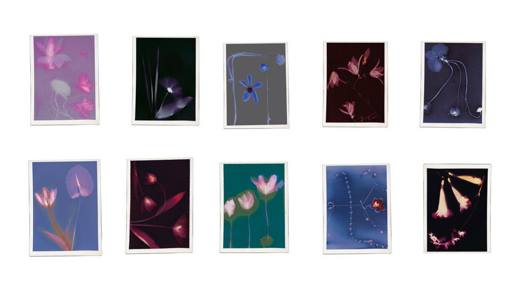  a collection of eight botanical prints, each featuring different flowers and plants rendered in a surreal, dreamlike style. The prints have deep, contrasting colors, including shades of blue, pink, purple, and green, creating an ethereal glow around the organic forms. Some prints resemble photographic negatives, while others appear digitally manipulated or hand-colored, emphasizing delicate petals, stems, and intricate floral structures. The arrangement highlights the natural beauty and symmetry. 