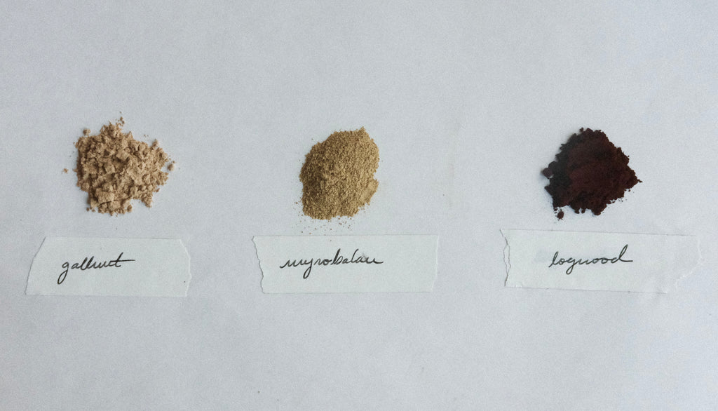 Three natural dye powders—gallnut, myrobalan, and logwood—carefully arranged on a white background with handwritten labels. Each dye, derived from botanical sources, is traditionally used in natural textile dyeing and eco-friendly fabric treatments.