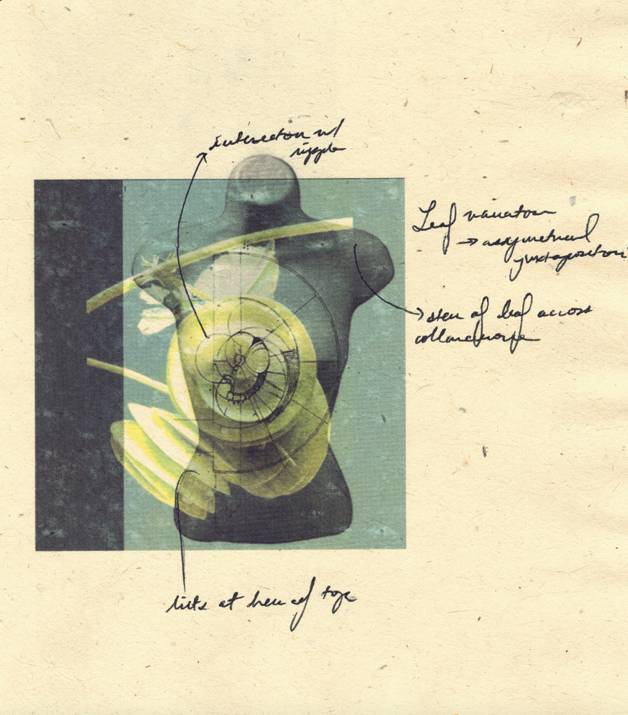 Mixed-media artwork featuring a dress form overlaid with a spiraling shell, botanical elements, and handwritten annotations. A conceptual study on the intersection of nature, geometry, and fashion design.
