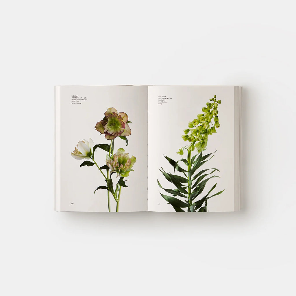  research process behind the Inflorescence top, explaining how customer surveys help determine the species and color palettes that best align with their essence. Let me know if you need help refining 